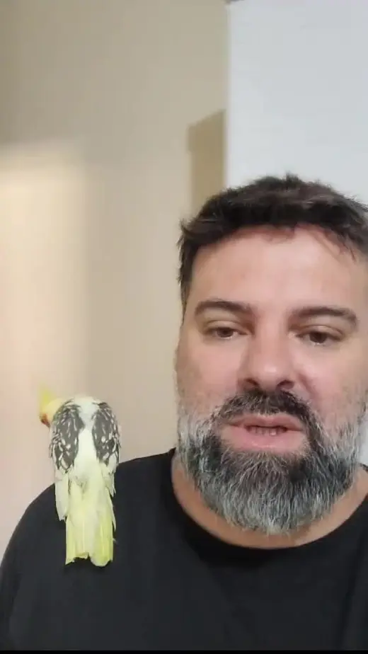 Reencuentro de Marcelo con su pájaro